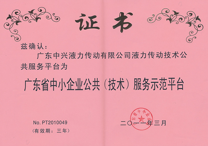 2011年公共(技術(shù))服務(wù)示范平臺證書